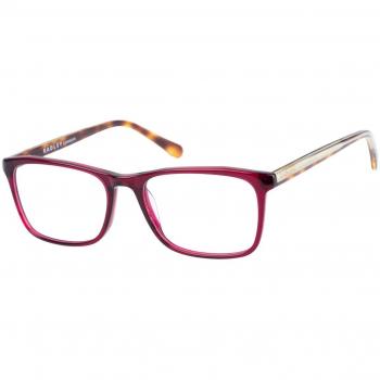 Radley RDO 6010 161 Armazones para Hombre Purple con lentes recetados de 53 mm