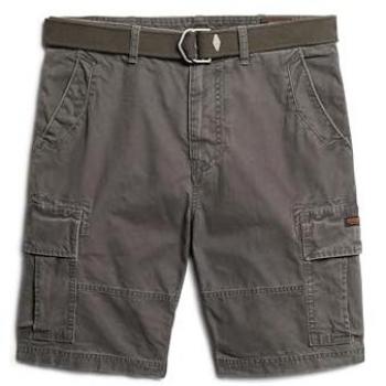 Pantalones Cortos Cargo Heavy Superdry Gris 28