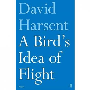 A Bird's Idea of Flight