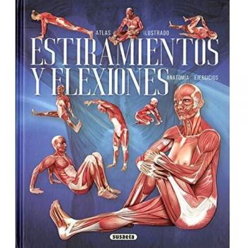 Estiramientos y Flexiones