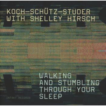 Walking and Stumbling Through - SHELLEY HIRSCH FREDY STUDER MARTIN SCHÜTZ HANS KOCH