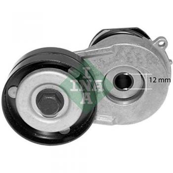 LUK 534032110 Tensioner