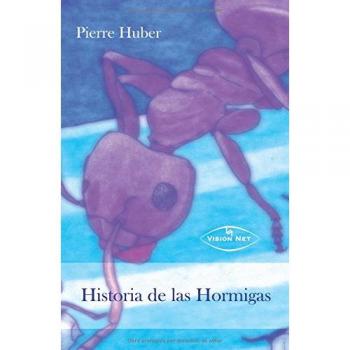Historia De Las Hormigas