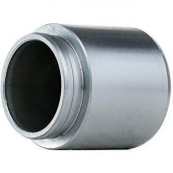 Autofren Seinsa d02534 Pistón, pinza de freno