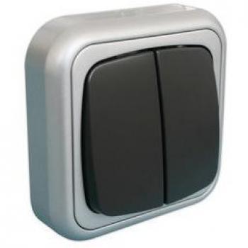 Doble conmutador superficie. Plata-Gris