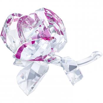 Swarovski sw5248878