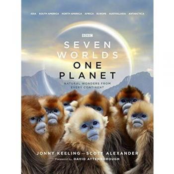 Story Paperback