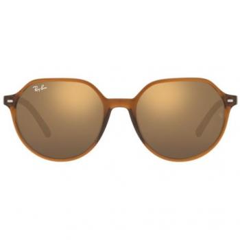 Ray-Ban Thalia RB 2195 Men's Brown Sunglasses 51mm