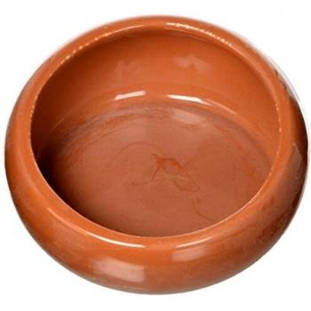 LIVING WORLD Comedero Ergonómico Grande, Color Terracota