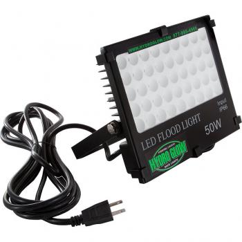 HYDRO GLOW FL50 50W/120VAC FLOOD LIGHT - GREEN