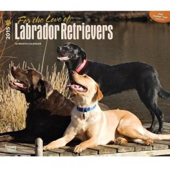 Labrador Retrievers, for the Love of 2015 Deluxe