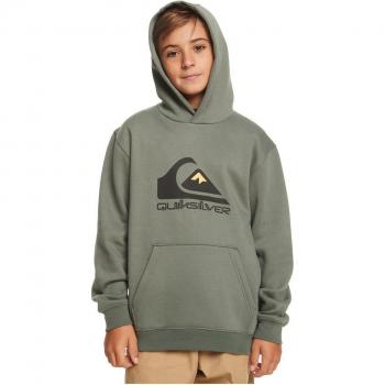 Sudadera Deportiva Con Capucha Quicksilver Big Logo Youth B