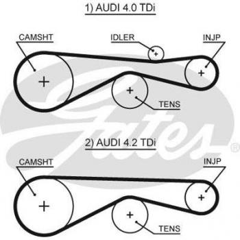 Correa dentada GATES Timing Belt 5613XS - Correa de distribución, longitud: 5613 mm, ancho: 25 mm, número de dientes: 113, material: caucho reforzado con fibras sintéticas, resistente