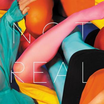 Stealing Sheep Not Real vinyl