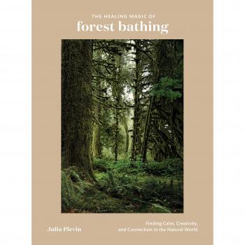 The Healing Magic of Forest Bathing: Finding Calm, Creativity, and Connection in the Natural World