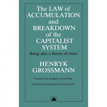 The Law of Accumulation and Breakdown: A Theory of Crises - Translated Edition
