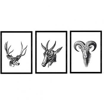Lámina Vintage de Animales: Carneros, Cabra y Ciervo - Posters sin Marco A4