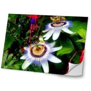 Flores 10041, Campos de Flores, Diseño Mejor Pegatina de Vinilo Protector con Efecto Cuero Extraíble Adhesivo Sticker Skin Decal Decorativa Tapa con Diseño Colorido para Portátil 10.2''.