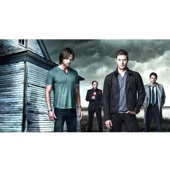 Supernatural Season 10 (26x14 inch, 64x35 cm) Silk Poster Seda Cartel PJ17-A63E