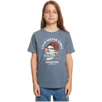 Quiksilver - Camiseta Azul para Niño - Qs Skull