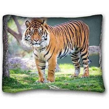 Custom Characteristic ( Animals Jai Sumatran Tiger tiger Tree Phoenix Zoo Arizona USA ) Custom Zippered Pillow Case 20x26 inches(one sides) from Surprise you suitable for Queen-bed PC-Bluish-47124