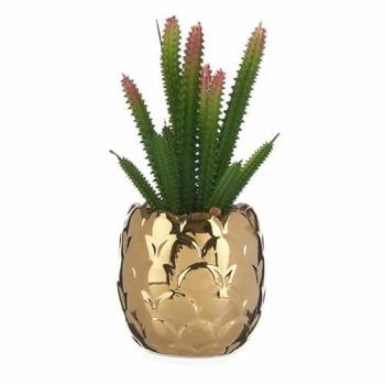 Ibergarden Planta Decorativa Cerámica Dorado Cactus Verde Plástico 6 Unidades