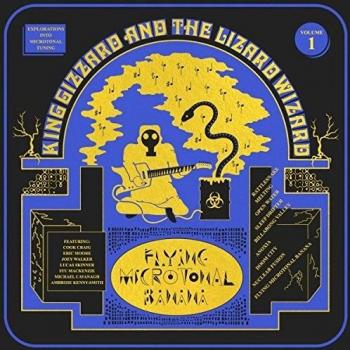 Flying Microtonal Banana [Vinilo]