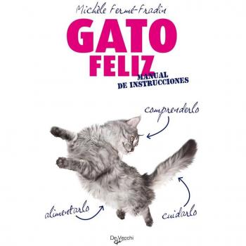Gato feliz