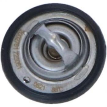 Termostato refrigerante EASY FIT NRF 725061