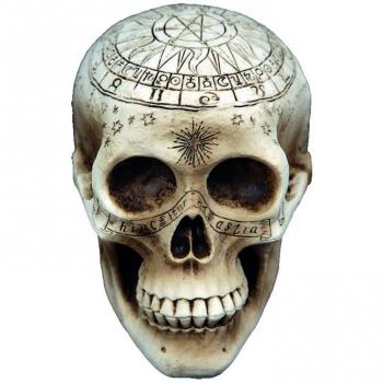 Calavera de Brujería Eurocarnavales con detalles de 20X14 cm