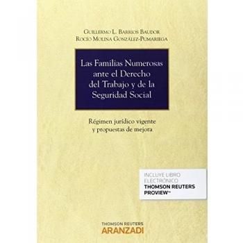 Las familias numerosas ante el Derecho del Trabajo y de la Seguridad Social