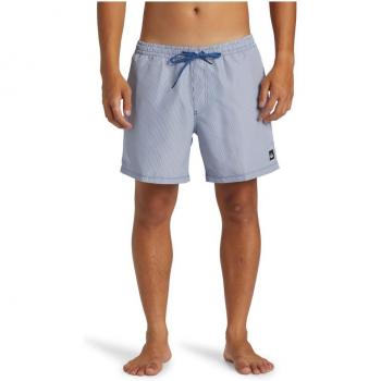 Quiksilver - Short de Natación Everyday Deluxe Volley 15' para hombre, color azul grisáceo, talla L
