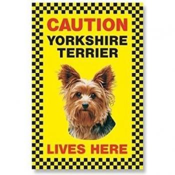 Caution Yorkshire Terrier vive aquí cuidado de perro señal amarillo plástico priplak Yorkie