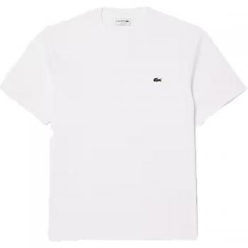 Lacoste Classic Fit Cotton Jersey T-Shirt - White - Size L - Male