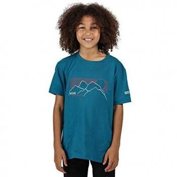 Regatta Bosley III-Camiseta Estampada De Algodón T-Shirts/Polos/Vests, Unisex niños, Gulfstream, 3-4