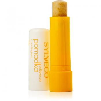 Sylveco Nourishing Lip Balm with Exfoliating Effect 4.6g