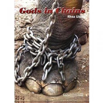 Gods in Chains