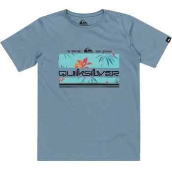 Quiksilver - Camiseta de niños Tropical Rainbow