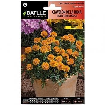 Semillas de Flores - Clavelón de la India Mowgli - Batlle