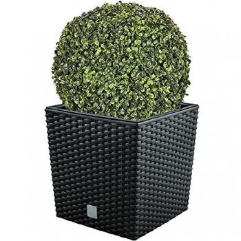 Set de Maceta Rato 32L con Cubilete Antracita y Bola de Boj Diámetro 36 cm para Interior y Exterior