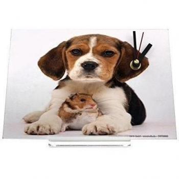 Reloj de escritorio Rative Pratique Vétérinaire Cachorro beagle cobaya