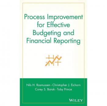 Vitalsource Process Improvement Guide: Effective Budgeting Strategies (Hardcover)