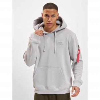 Alpha Industries Pastel Grey Back Print Hoodie for Men - XXL