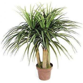 Planta artificial Nolina mini 75 cm