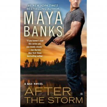 After the Storm: A Contemporary Romance Novel by Maya Banks