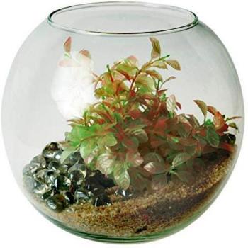 Acuario Zolux 6,5 litros