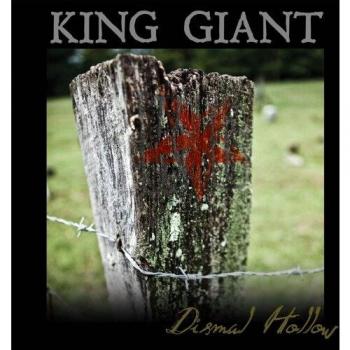 Dismal hollow vinyl