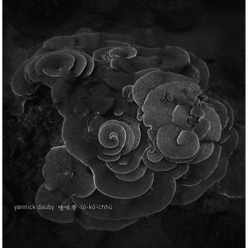 Penghu Experimental Sound Studio Vol. 2 - Coral House Vinyl Edition