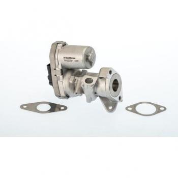 Válvula EGR BorgWarner Wahler 711022D