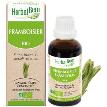Herbalgem Macerado Glicerinado Concentrado de Yemoterapia Frambuesa Bio 30ml